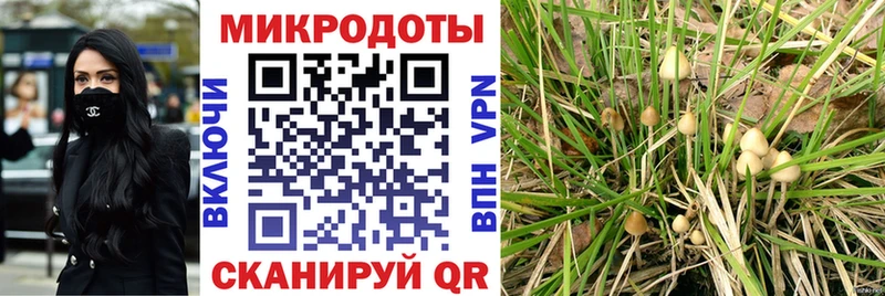 Галлюциногенные грибы мухоморы  Асино 